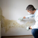 Mold-Inspection-img