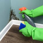 Discover-the-Top-Causes-of-Mold-Growth-and-How-to-Prevent-It.-Keep-Your-Home-Safe-and-Healthy-Featured