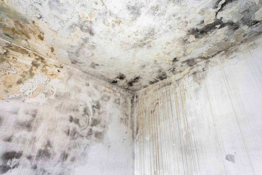 Discover-the-surprising-causes-of-mold-in-your-home.-Learn-how-to-prevent-and-treat-it-with-our-expert-tips-Featured.jpg
