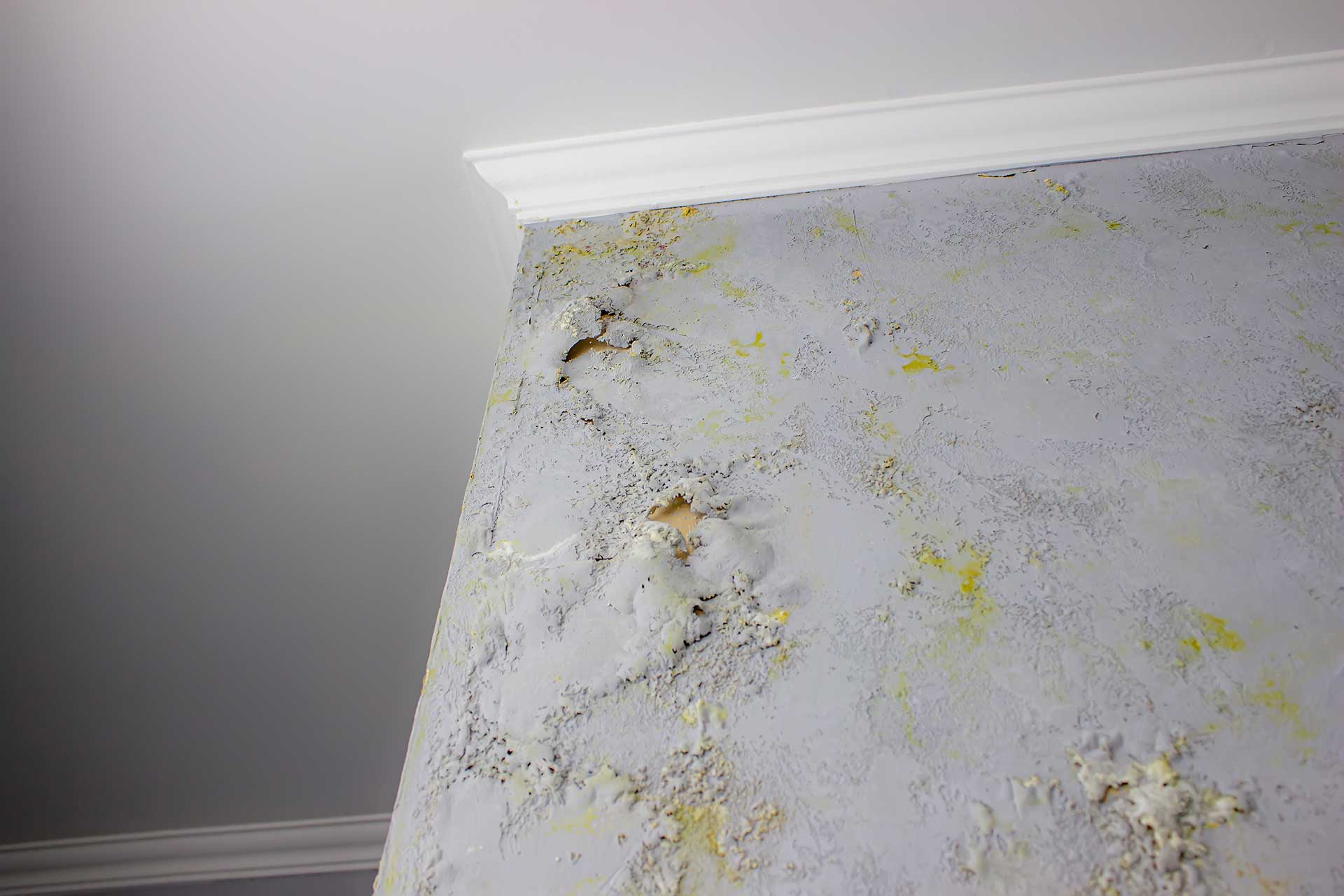 Find-out-where-mold-lurks-in-your-home-Discover-the-top-spots-for-mold-growth-and-how-to-prevent-it-Featured