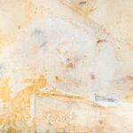 Protect-Your-Home-and-Health-Learn-the-Hidden-Dangers-of-Mold-and-How-to-Keep-Your-Family-Safe-Click-Now-Featured
